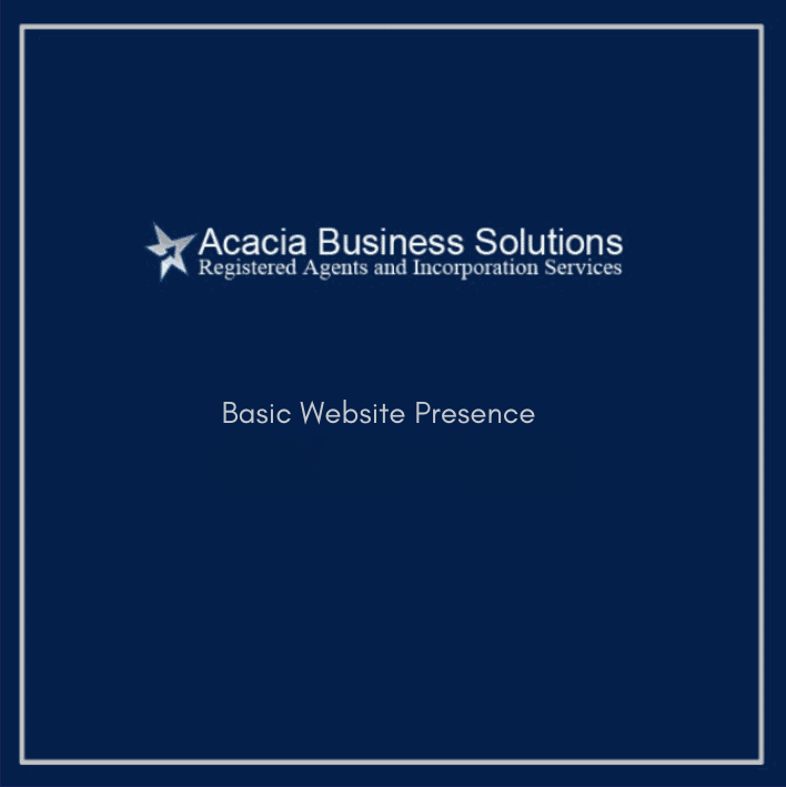 Basic Website Presence